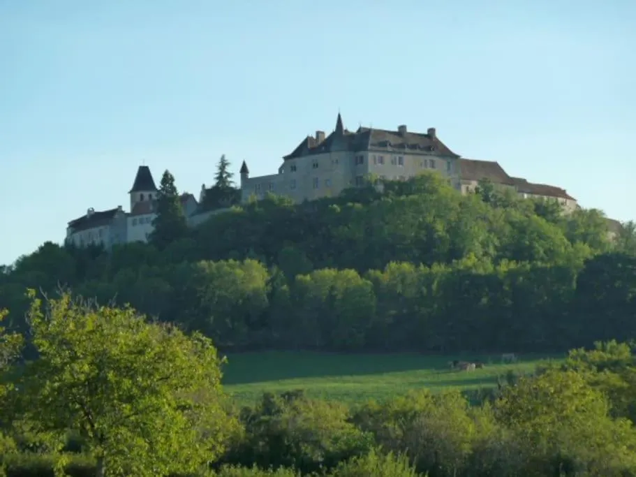 Maison Avec Piscine Privee A Loubressac Proche Rocamadour & Vallee Dordogne, Du Samedi Au Samedi Holiday home